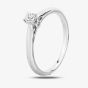 9ct White Gold 0.10ct Diamond Bridge Accent Diamond Solitaire Ring TH011825112157
