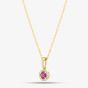 9ct Yellow Gold 0.20ct Brilliant Cut Ruby & 0.08ct Diamond Halo Necklace WWW2832