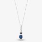 9ct White Gold 0.54ct Sapphire & 0.011ct Diamond Pendant VP08833 9KW-SAPPH