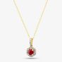  9ct Yellow Gold Ruby & 0.09ct Diamond Halo Pendant Necklace OJP1701-R