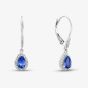 9ct White Gold Pear Cut Tanzanite & Diamond Drop Earrings RJE0306