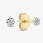 9ct Yellow Gold 0.05ct Brilliant Cut Diamond Cluster Stud Earrings THE46506-05