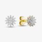 9ct Yellow Gold 0.20ct Diamond Flower Stud Earrings THE48851-20 (YG)