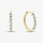 9ct Yellow Gold 0.05ct Diamond Hoop Earrings THE48230-05 (YG)