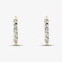 9ct Yellow Gold 0.05ct Diamond Hoop Earrings THE48230-05 (YG)