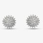 9ct Yellow Gold 0.10ct Diamond Urchin Cluster Stud Earrings GE2382