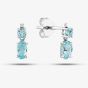  9ct White Gold Aquamarine & Diamond Dropper Earrings BSSE413-AQ