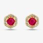  9ct Yellow Gold Ruby & Diamond Halo Stud Earrings OJE1701-R