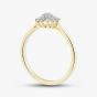 9ct Yellow Gold 0.15ct Diamond Flower Cluster Ring THR48444-15 (YG)