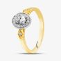  9ct Two Colour Gold Diamond Oval Shoulder Set Halo Ring 30981/33 