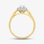  9ct Two Colour Gold Diamond Oval Shoulder Set Halo Ring 30981/33 