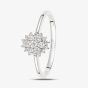 9ct White Gold 0.25ct Diamond Cluster Ring DR1673W