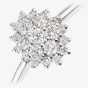 9ct White Gold 0.25ct Diamond Cluster Ring DR1673W