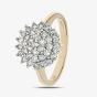 9ct Yellow Gold 0.75ct Diamond Cluster Ring PR04663Y