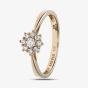 9ct Yellow Gold 0.25ct Diamond Flower Cluster Ring PR11539Y