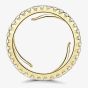 Brown & Newirth Evolution 18ct Yellow Gold 1.00ct Diamond Full Eternity Ring ET1022 18Y 