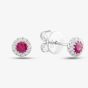 18ct White Gold Brilliant Cut Ruby & Diamond Halo Stud Earrings 36845G1