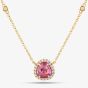 18ct Yellow Gold 1.06ct Pink Sapphire & 0.22ct Brilliant Cut Diamond Halo Necklace NTX1663 18YG