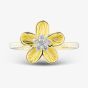 9ct Yellow Gold 0.07ct Diamond Flower Ring THR48859-07SF (YG)
