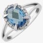 9ct White Gold Oval Claw Set Blue Topaz and Diamond Cluster Ring DBTR1448W