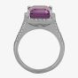 9ct White Gold Baguette Cut Amethyst and Round  Diamond Cluster Shouldered Ring R4099-119AM