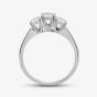  Platinum 0.54ct Diamond Three Stone Ring 3166/54-P