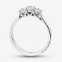 1888 Collection Platinum 0.57ct Certificated Round Cut Diamond Three Stone Ring R3-145(.57CT PLUS)