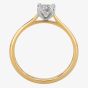 1888 Collection 18ct Yellow Gold Princess Cut 0.50ct Diamond Classic Solitaire Ring RI-2022