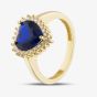 9ct Yellow Gold Blue Cubic Zirconia Heart Cluster Ring RBD026YSA