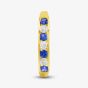 9ct Yellow Gold Blue & Clear Cubic Zirconia Half Eternity Ring PR02470SA