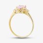 9ct Yellow Gold Oval Cut Pink Cubic Zirconia Three Stone Ring RBE045PNK