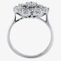 Silver Clear Flower Cubic Zirconia Cluster PJR0218-CZ-L