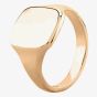 9ct Yellow Gold 14x12mm Cushion Signet Ring YAG576H