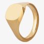 9ct Gold Mens Plain Cushion Signet Ring FSR2-11X10