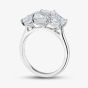 Platinum 4.06ct Certificated Radiant Cut Lab Grown Diamond Three Stone Ring U3807