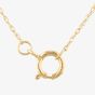 9ct Yellow Gold Lab Grown 1.00ct Brilliant Cut Diamond Pendant Necklace LGP3119-100AN (YG)