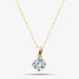9ct Yellow Gold 0.50ct Lab Grown Diamond Solitaire Pendant Necklace LGP3119-50AN (YG)