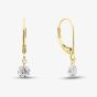 9ct Yellow Gold 1.00ct Lab Grown Diamond Drop Lever Back Earrings LGE46856-100SF