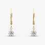 9ct Yellow Gold 1.00ct Lab Grown Diamond Drop Lever Back Earrings LGE46856-100SF