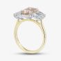 18ct Yellow Gold 4.59ct Certificated Pink & White Radiant Cut Lab Grown Diamond Three Stone Ring U3800