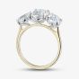 18ct Yellow Gold 5.02ct Certificated Radiant Cut Lab Grown Diamond Three Stone Ring U3808