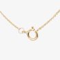 9ct Yellow Gold 1.00ct Multi Cut Lab Grown Diamond Necklace LGN47394-100