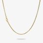THOMAS SABO Rebel Steel Yellow Gold Tone 2.7mm Box Chain KE2400-S02-39-L55