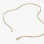 THOMAS SABO Rebel Steel Yellow Gold Tone 2.7mm Box Chain KE2400-S02-39-L55