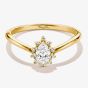 THOMAS SABO Classics 18ct Yellow Gold Plated Cubic Zirconia Cluster Ring TR2479-M01-14
