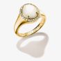 THOMAS SABO Fluid Elegance 18ct Yellow Gold Plated Mother of Pearl Halo Signet Ring TR2542-M01-14
