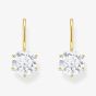 THOMAS SABO Gold Plated Cubic Zirconia Earrings H2287-414-14