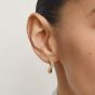 THOMAS SABO Fluid Elegance 18ct Yellow Gold Pave Cubic Zirconia Wave Earrings CR765-M01-14