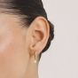 THOMAS SABO Classics 18ct Yellow Gold Plated Freshwater Pearls Pendant Hoop Earrings CR702-M01-14