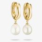 THOMAS SABO Bold Elegance 18ct Yellow Gold Plated Freshwater Pearl Drop Hoop Earrings CR766-430-14